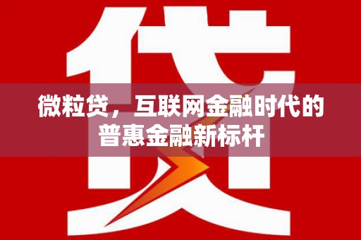 塔什库尔干塔吉克微粒贷，互联网金融时代的普惠金融新标杆