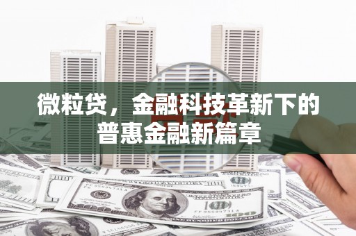 塔什库尔干塔吉克微粒贷，金融科技革新下的普惠金融新篇章