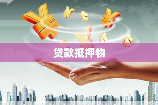 塔什库尔干塔吉克贷款抵押物