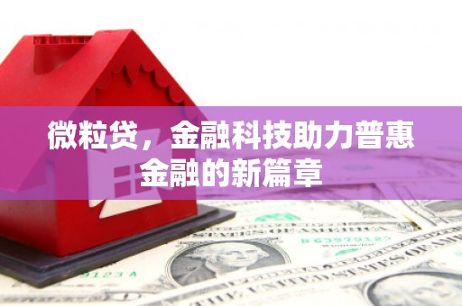 塔什库尔干塔吉克微粒贷，金融科技助力普惠金融的新篇章