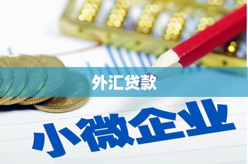 塔什库尔干塔吉克外汇贷款
