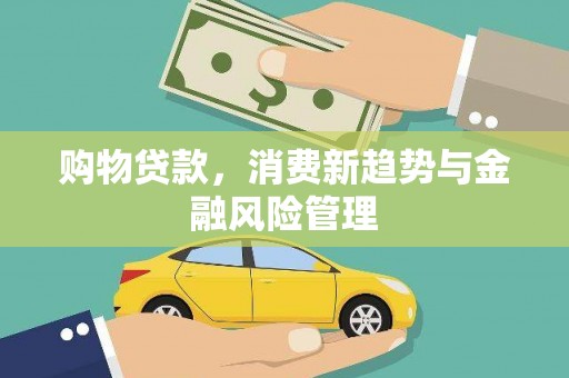 塔什库尔干塔吉克购物贷款，消费新趋势与金融风险管理
