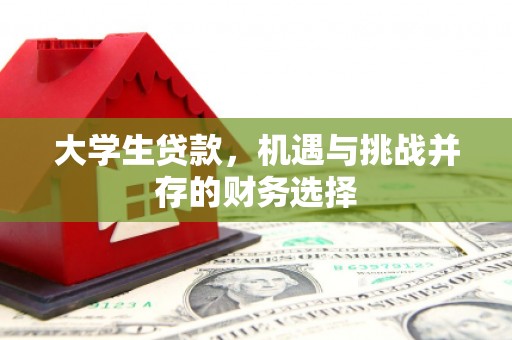 塔什库尔干塔吉克大学生贷款，机遇与挑战并存的财务选择