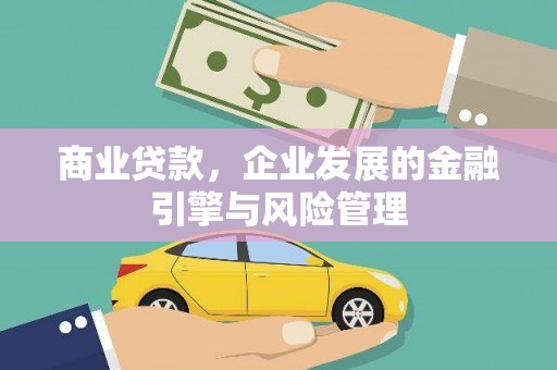 塔什库尔干塔吉克商业贷款，企业发展的金融引擎与风险管理