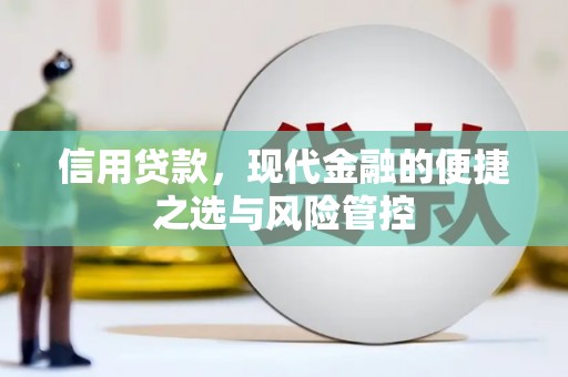 塔什库尔干塔吉克信用贷款，现代金融的便捷之选与风险管控