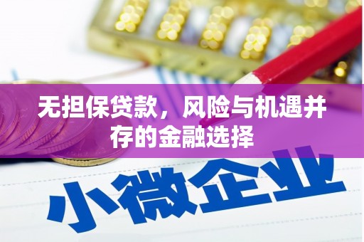 塔什库尔干塔吉克无担保贷款，风险与机遇并存的金融选择