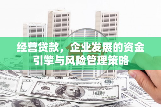 塔什库尔干塔吉克经营贷款，企业发展的资金引擎与风险管理策略