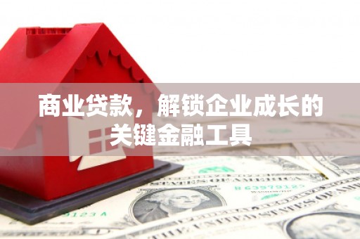 塔什库尔干塔吉克商业贷款，解锁企业成长的关键金融工具
