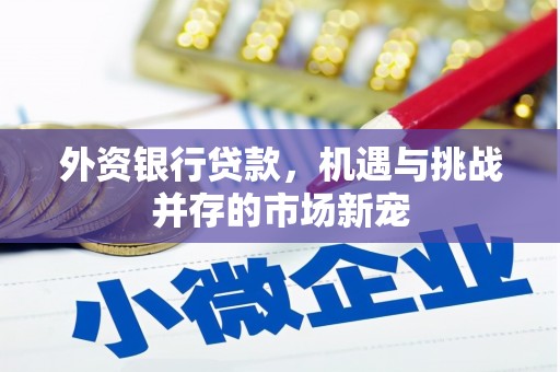 塔什库尔干塔吉克外资银行贷款，机遇与挑战并存的市场新宠