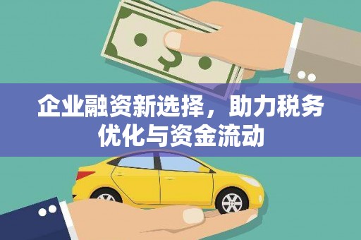 塔什库尔干塔吉克企业融资新选择，助力税务优化与资金流动
