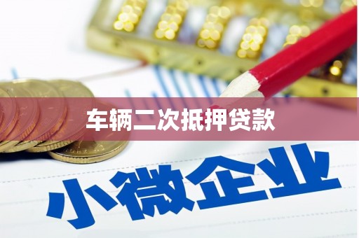 塔什库尔干塔吉克车辆二次抵押贷款