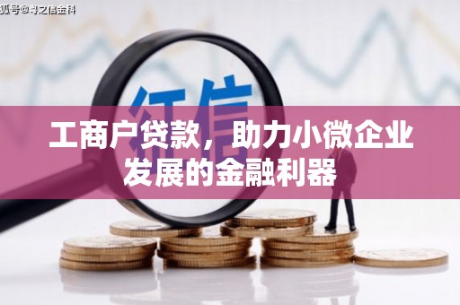 塔什库尔干塔吉克工商户贷款，助力小微企业发展的金融利器