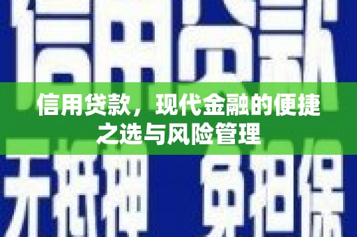 塔什库尔干塔吉克信用贷款，现代金融的便捷之选与风险管理