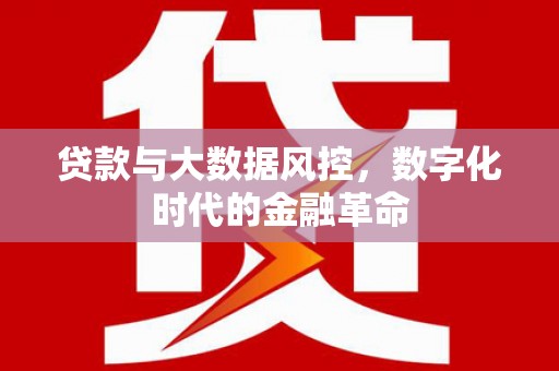 塔什库尔干塔吉克贷款与大数据风控，数字化时代的金融革命