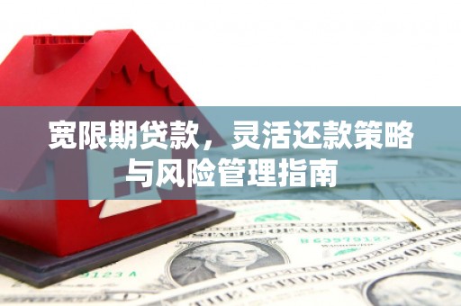 塔什库尔干塔吉克宽限期贷款，灵活还款策略与风险管理指南