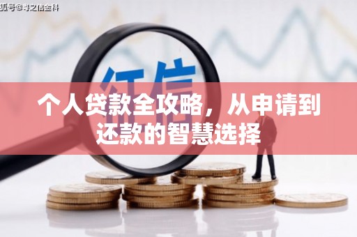 塔什库尔干塔吉克个人贷款全攻略，从申请到还款的智慧选择