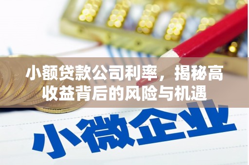 塔什库尔干塔吉克小额贷款公司利率，揭秘高收益背后的风险与机遇