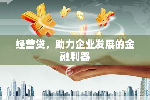 塔什库尔干塔吉克经营贷，助力企业发展的金融利器