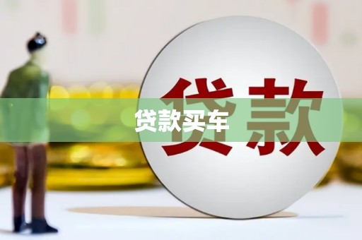 塔什库尔干塔吉克贷款买车