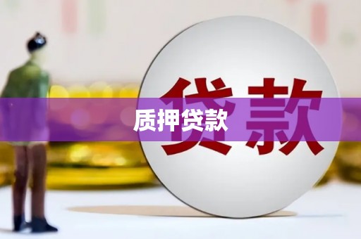 塔什库尔干塔吉克质押贷款