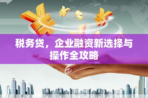 塔什库尔干塔吉克税务贷，企业融资新选择与操作全攻略