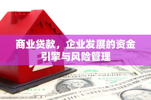 塔什库尔干塔吉克商业贷款，企业发展的资金引擎与风险管理