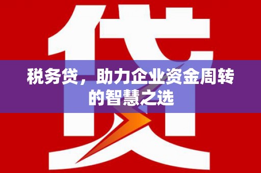 塔什库尔干塔吉克税务贷，助力企业资金周转的智慧之选