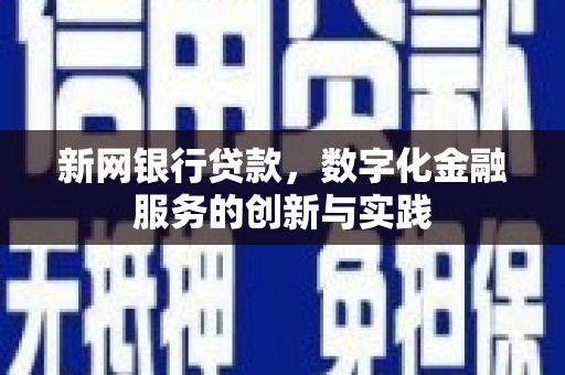 塔什库尔干塔吉克新网银行贷款，数字化金融服务的创新与实践