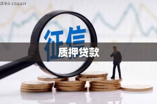 塔什库尔干塔吉克质押贷款