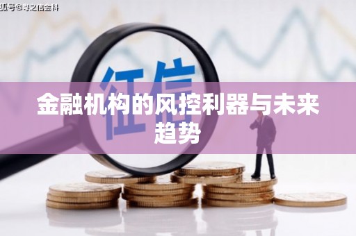塔什库尔干塔吉克金融机构的风控利器与未来趋势