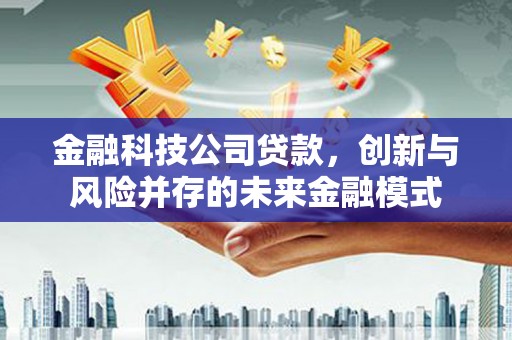 塔什库尔干塔吉克金融科技公司贷款，创新与风险并存的未来金融模式