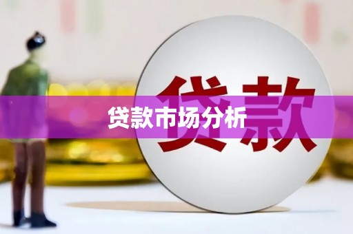 塔什库尔干塔吉克贷款市场分析