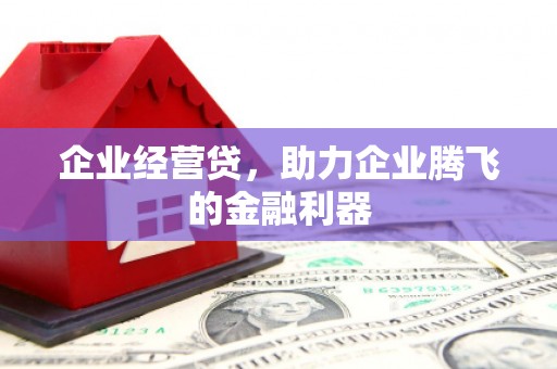 塔什库尔干塔吉克企业经营贷，助力企业腾飞的金融利器