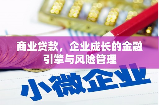 塔什库尔干塔吉克商业贷款，企业成长的金融引擎与风险管理