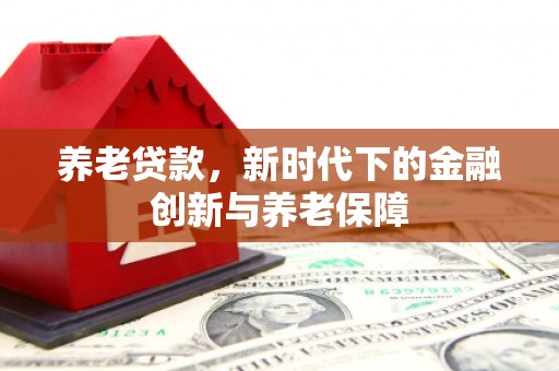 塔什库尔干塔吉克养老贷款，新时代下的金融创新与养老保障