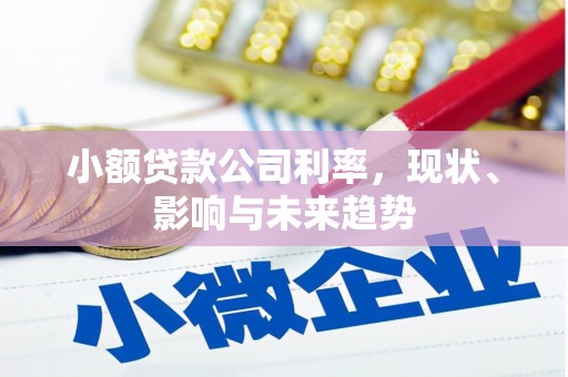 塔什库尔干塔吉克小额贷款公司利率，现状、影响与未来趋势