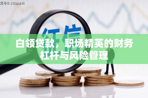 塔什库尔干塔吉克白领贷款，职场精英的财务杠杆与风险管理