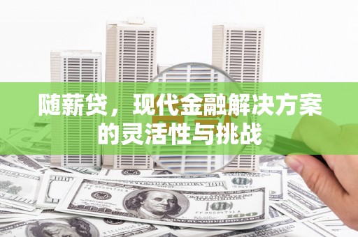 塔什库尔干塔吉克随薪贷，现代金融解决方案的灵活性与挑战