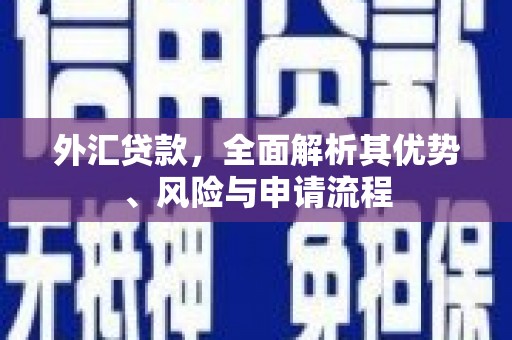 塔什库尔干塔吉克外汇贷款，全面解析其优势、风险与申请流程