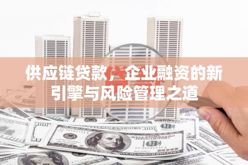 塔什库尔干塔吉克供应链贷款，企业融资的新引擎与风险管理之道