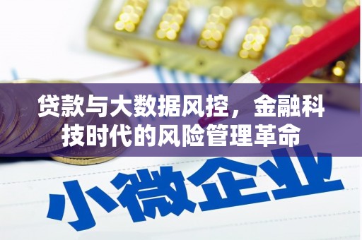 塔什库尔干塔吉克贷款与大数据风控，金融科技时代的风险管理革命