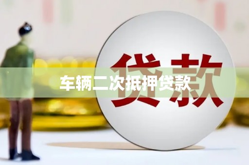 塔什库尔干塔吉克车辆二次抵押贷款