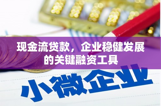 塔什库尔干塔吉克现金流贷款，企业稳健发展的关键融资工具