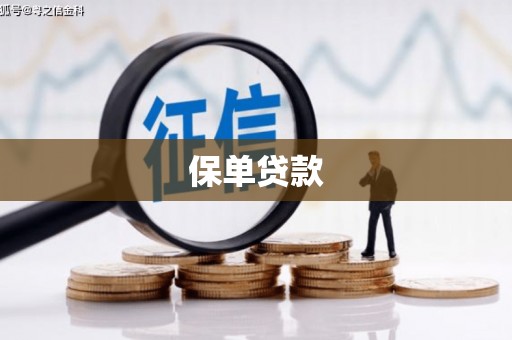 塔什库尔干塔吉克保单贷款