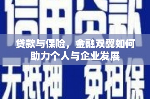 塔什库尔干塔吉克贷款与保险，金融双翼如何助力个人与企业发展