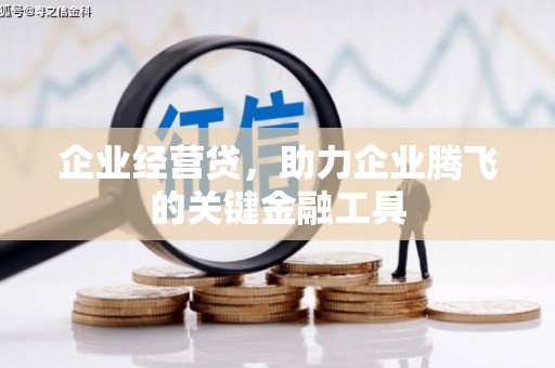 塔什库尔干塔吉克企业经营贷，助力企业腾飞的关键金融工具