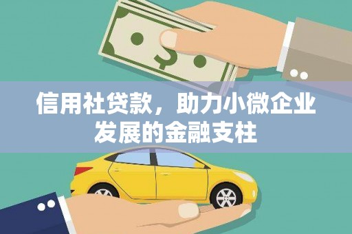 塔什库尔干塔吉克信用社贷款，助力小微企业发展的金融支柱