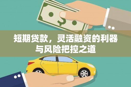 塔什库尔干塔吉克短期贷款，灵活融资的利器与风险把控之道