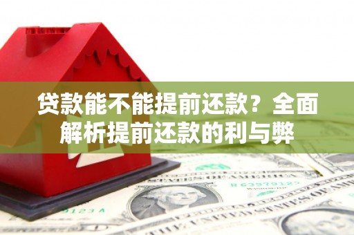 塔什库尔干塔吉克贷款能不能提前还款？全面解析提前还款的利与弊