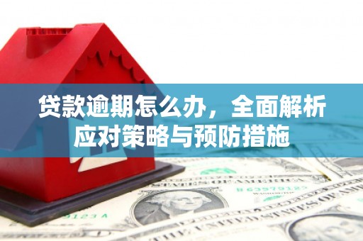 塔什库尔干塔吉克贷款逾期怎么办，全面解析应对策略与预防措施